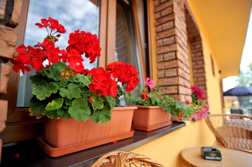 Penzion Anesis - Apartmany Turcianske Teplice Exterior photo